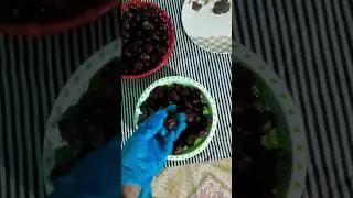 benefits of waterchestnut #singhare ke fyde#youtubeshorts #shortvideo