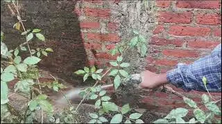 OLD BREAK WALL CLEANING BEFORE PLASTER