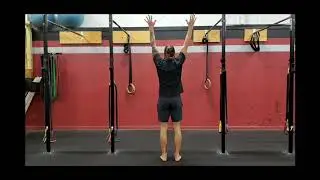 Shoulder Elevation and Depression Test