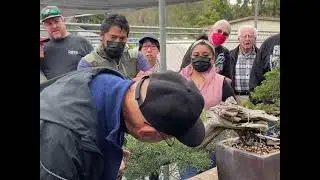 Bonsai-A-Thon 2022