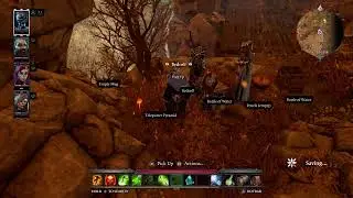 Divinity: Original Sin 2 Definitive Edition part 34