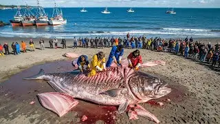Hunting 500 Halibut with Longlines &mdash; The World&rsquo;s Biggest Commercial Fishing Operation