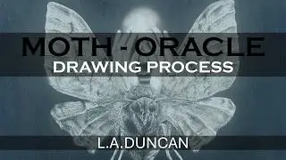 Hypersurreal Moth Drawing Process | Oracle Deck Card Art