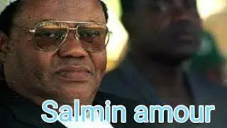 Upinzani Taratibu : Mh salmin amour