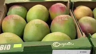 EcoMark Natural Branding - mangos