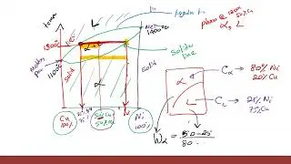 Tutorial 6 - Phase Diagrams