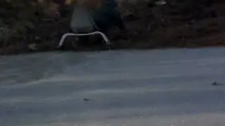 redneck ice rink and scates