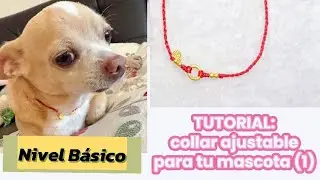 Tutorial: collar estilo 1 para mascota.#diy #macrame #manualidades #mascotas