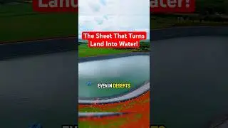How One Sheet Can Hold Back a Whole Lake