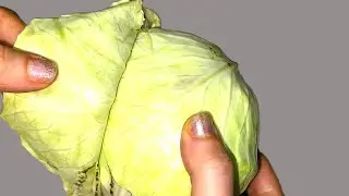 Этот золотой лист вытянет всю боль из колен, суставов