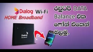 how to check dialog roter data balance