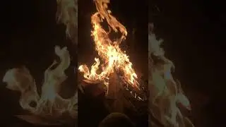 Fire 🔥 #new#trendingreels#fire#love#news#today#daily#beast#giveaway#hello#world
