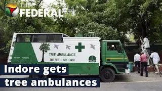 Treatment to transplant: Here&rsquo;s what a tree ambulance does | The Federal