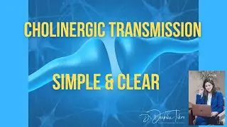 An Overview of Cholinergic Transmission