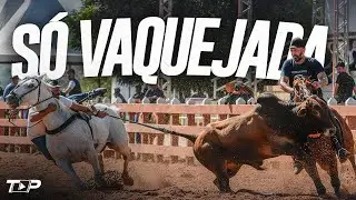PEGADA DE VAQUEIRO 2026 | FORRÓ DE VAQUEJADA - PRA BATER NO PAREDÃO (AS MELHORES) ATUALIZADAS