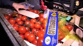Social Movers: De Dumpsterdivers over voedselverspilling in NL (1)