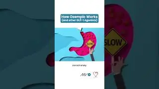How Does Ozempic Work? 🤔
