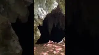 Cave in Tom Moore's Jungle - Bermuda #shorts #tommooresjungle #naturereserve #hike #bermuda #hiking