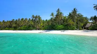 Relaxing Ocean: Calming Waves From Maldives. Ocean Sounds. Ocean Background 4K Ultra HD