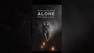 Lone Wolf Mentality | Never Depend on Others | Tiger Motivational Short