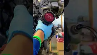 Removing the k20a Type R water pump #diy #mechanic #kswap #kseries #hondacivic #civiclovers #howto