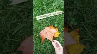 Актуальное средство от депресси, стресса...