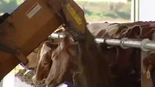What makes Hoard's Dairyman different?