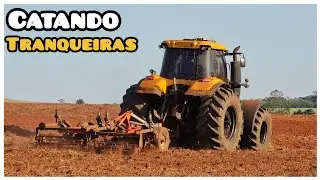 SUBSOLADOR 7 HASTES NA TERRA DE MANDIOCA