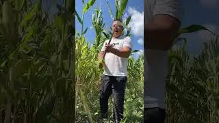 Rural Farmer of morning chores #16240