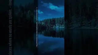 🌕 Night View &bull;.* music & cinema for quiet nights alone ⋆₊˚✧ by Yurii Smyk &bull; #ambient #cinematic #bgm
