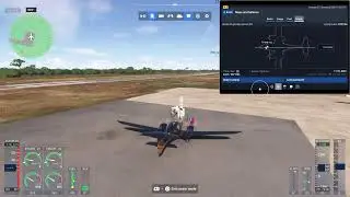 Microsoft flight simulator Online