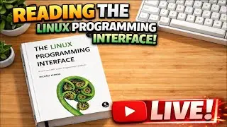The Linux Programming Interface - Memory Mappings