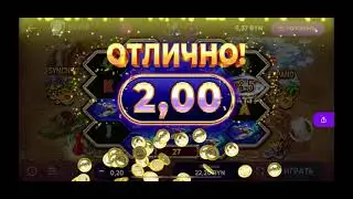 #belbet ТОП СПИНЫ от Карты сокровищ