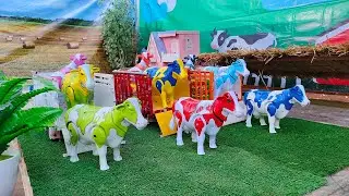 Woow Truk Oleng Angkut Sapi Lucu Warna Warni Terguling