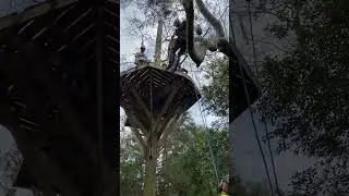 Fun is just ended 😊#funtrip #travel  #ziplineadventure #ocala #floridalife #fun #daytrip #adventure