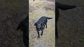 Охраняют