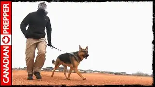 Running with a GASMASK in SHTF | Mira CM-6M review