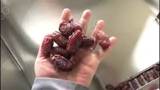Date Palm Paste Production Line |Date Paste Making Machine Line