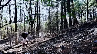 WHIPPLE HILL | EP 04