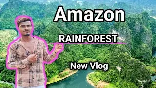 Most Dangerous Animals of Amazon Rainforest/Strange Facts about Amazon Rainforest(Hindi)#viralvideos