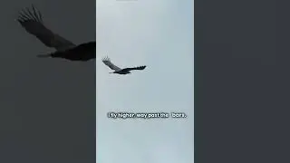 A bird born in a cage will never understand freedom