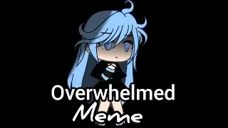 Overwhelmed meme//will serelaine