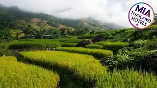 Kowit Maechaem Farmstay | Mae Chaem, Thailand | Hotel Review 🏩