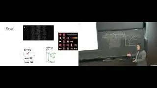 Particles, the Cosmos, and You - Seth Koren, UChicago 04/08/23