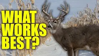 Hunting Late Season FOOD SOURCES with Don Higgins: The Time is NOW