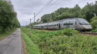 TER Vannes-Quimper en Z21500