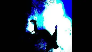 Mixed mental arts (Official audio)