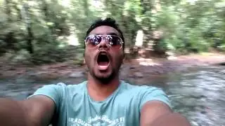 funny video vinup