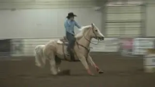 Michelle Darling   Barrel Bash Hutchinson, KS   March 11, 2017