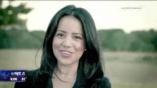Texas State Lawmaker VIctoria Neave DWI Arrest
